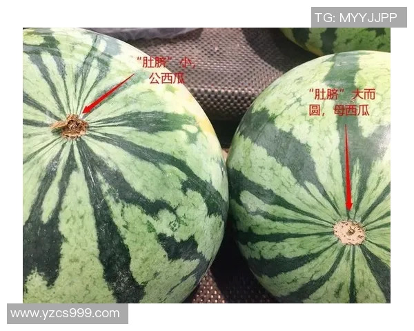 西瓜之名背后的故事哪位足球明星因外貌而被称为西瓜引发热议