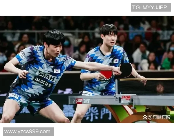 成都乒乓球队状态分析与未来展望聚焦乒乓球发展新机遇