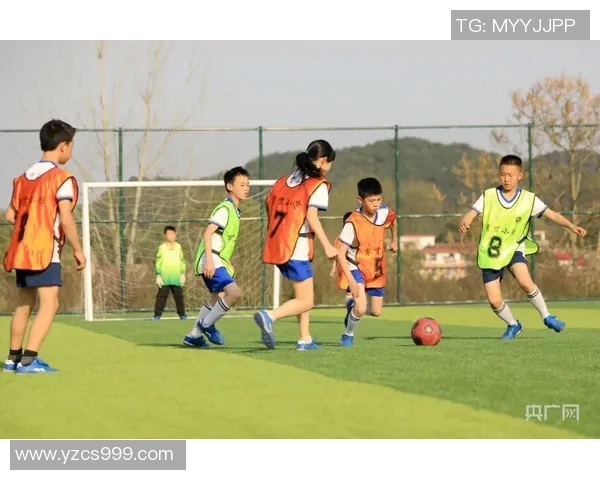 足球明星汇聚一堂打造梦幻球队共同追逐绿茵场上的荣耀与胜利